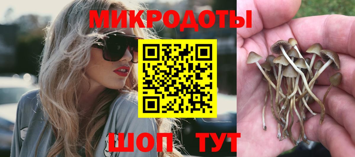 Сокол  Галлюциногенные грибы прущие грибы  Псилоцибиновые грибы Psilocybe  Вход с VPN 