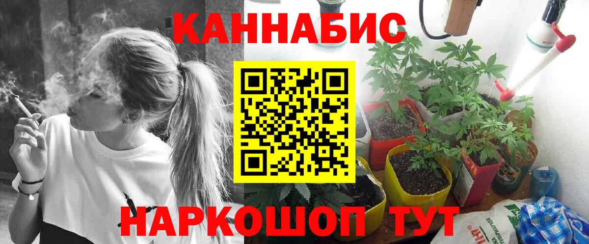 Шишки марихуана THC 21% Сокол